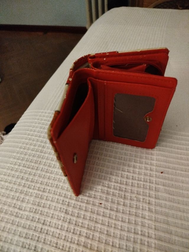 Cartera de Colores Muy Manejable