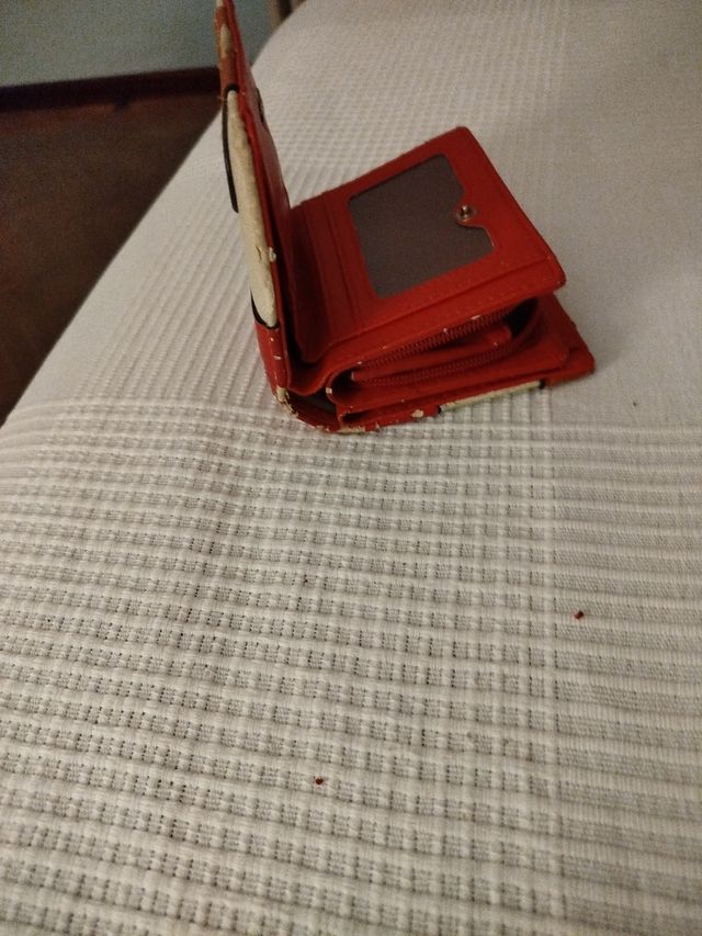 Cartera de Colores Muy Manejable