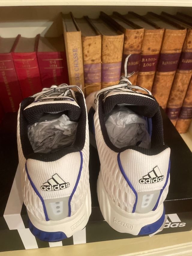 Zapatillas Adidas Deportivas Blancas y Azules