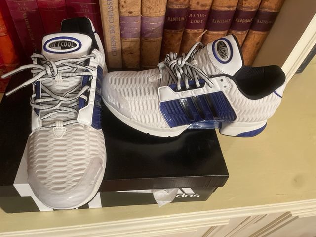 Zapatillas Adidas Deportivas Blancas y Azules