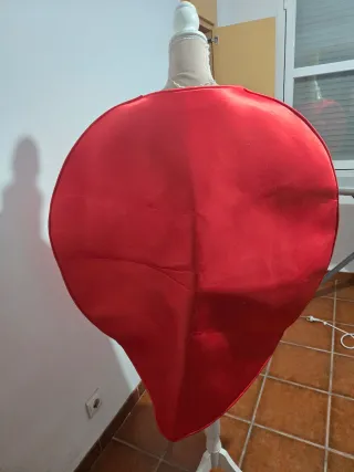 Disfraz Carnaval Lacasitos