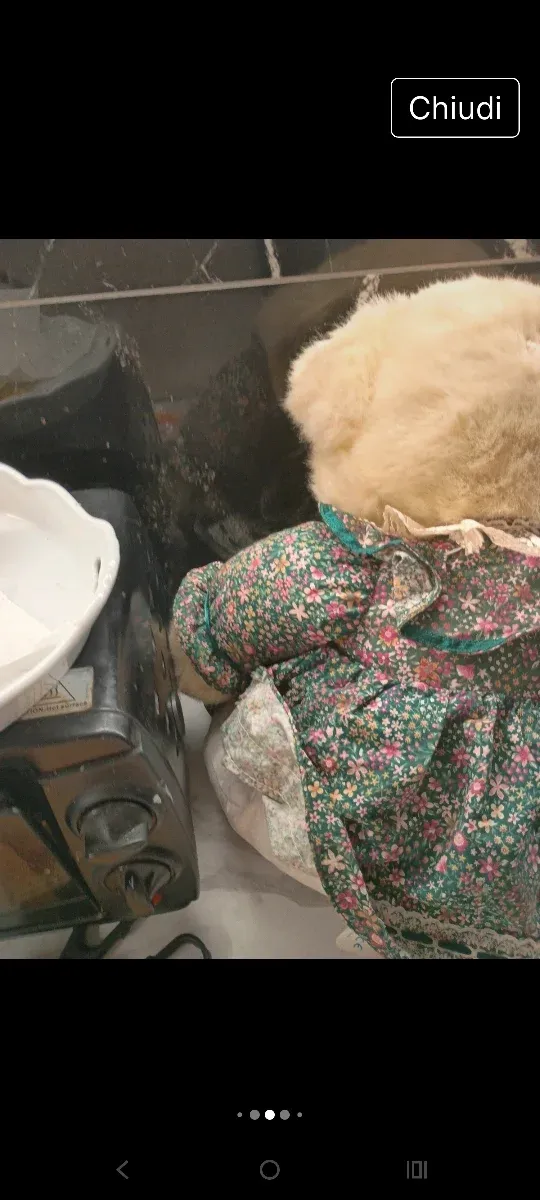 Orsetto peluche con vestito floreale