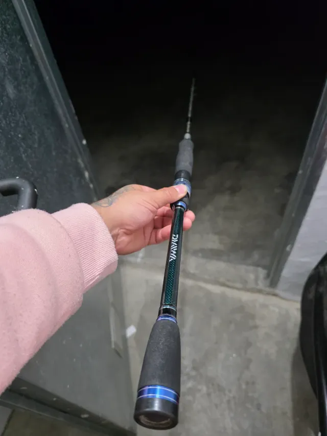 Caña de spinning  DAIWA EXCELER