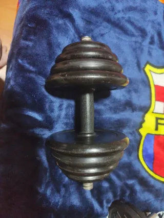 Mancuerna 12.5 kg discos ajustables