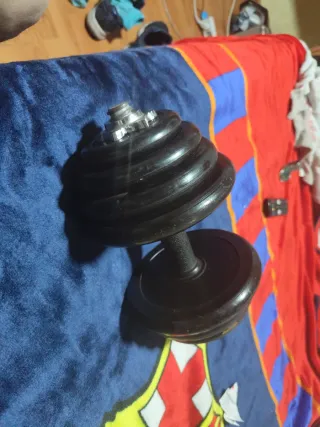 Mancuerna 12.5 kg discos ajustables