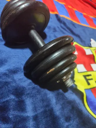 Mancuerna 12.5 kg discos ajustables