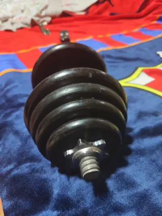 Mancuerna 12.5 kg discos ajustables