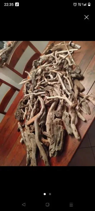 Legni da mareggiata naturali 17 pezzi