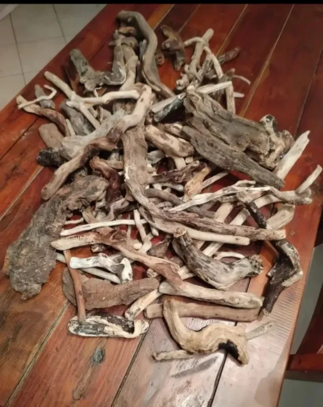 Legni da mareggiata naturali 17 pezzi