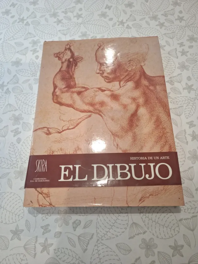 El dibujo. Historia de un arte