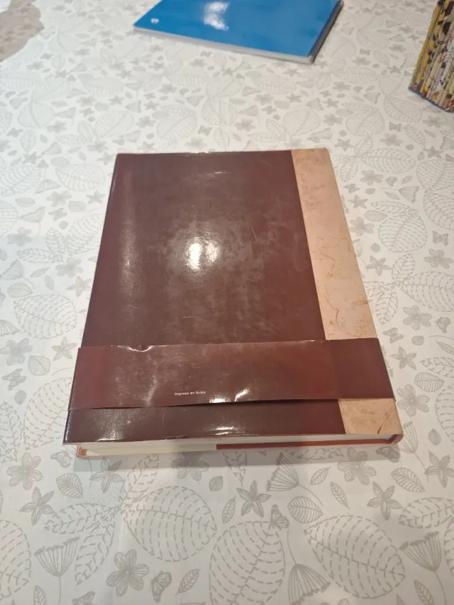 El dibujo. Historia de un arte