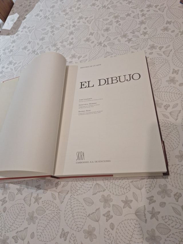 El dibujo. Historia de un arte