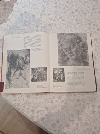 El dibujo. Historia de un arte