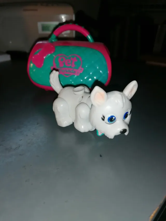 Perrito Pet Parade con transportín