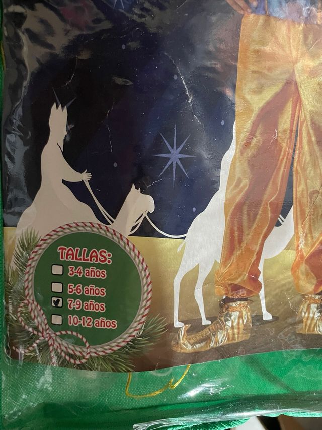 Disfraz Paje Infantil Tallas 7-9