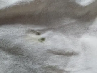 Camiseta Tommy Hilfiger Manga Larga Beige/Negra