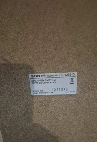 Altavoces Sony Negros y Marrones