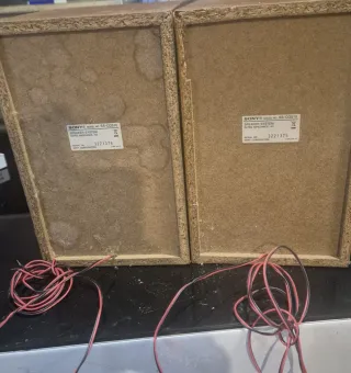 Altavoces Sony Negros y Marrones