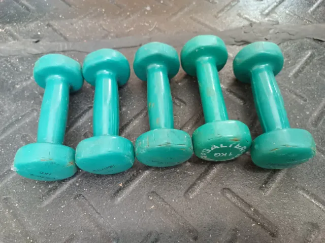 Mancuernas varios pesos