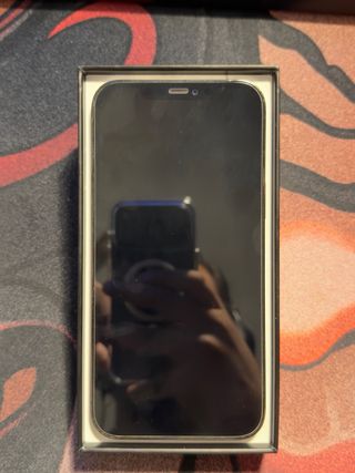 iPhone 12 Pro Max 128GB Gris Espacial