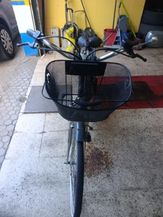 Bicicleta Saxonette con motor de gasolina