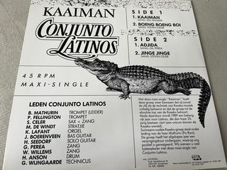 Lote de 12 discos de vinilo World music