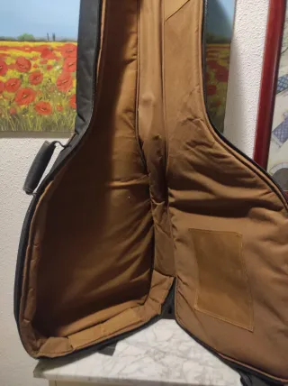 Funda acolchada para guitarra eléctrica