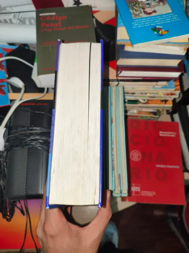 Diccionario español