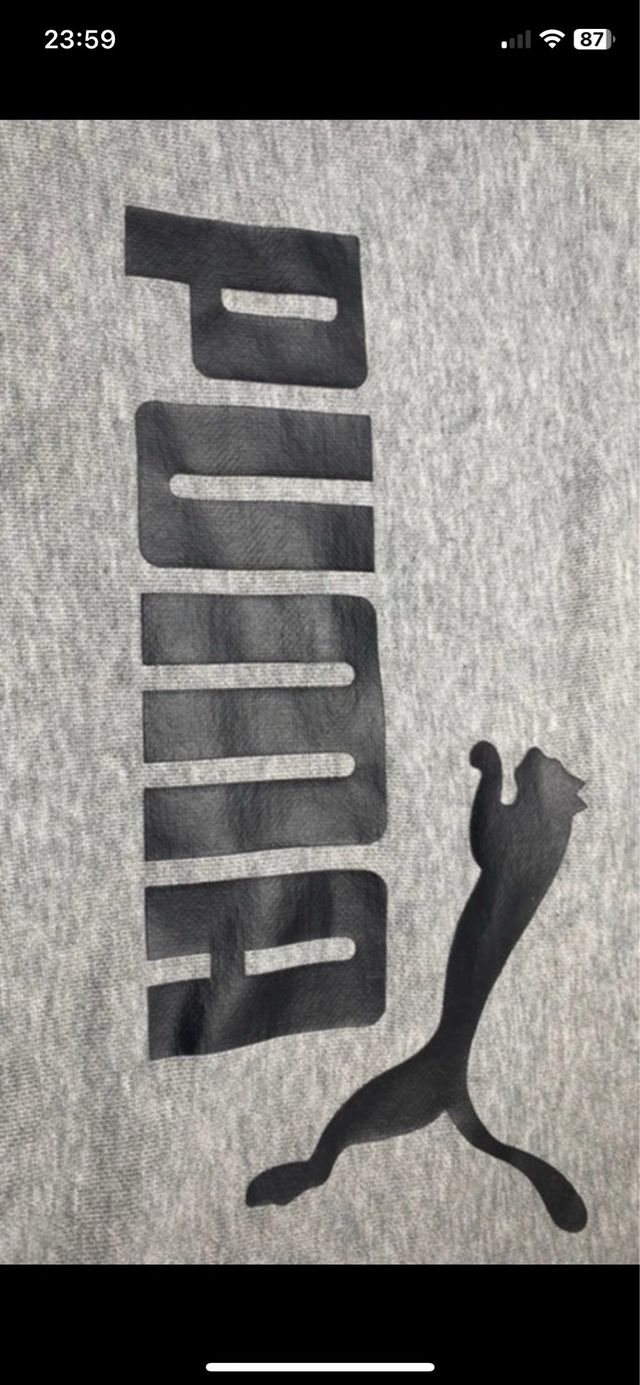 Felpa Puma Grigia per Bambino