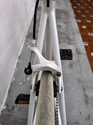 Bicicleta Scott “fixie”