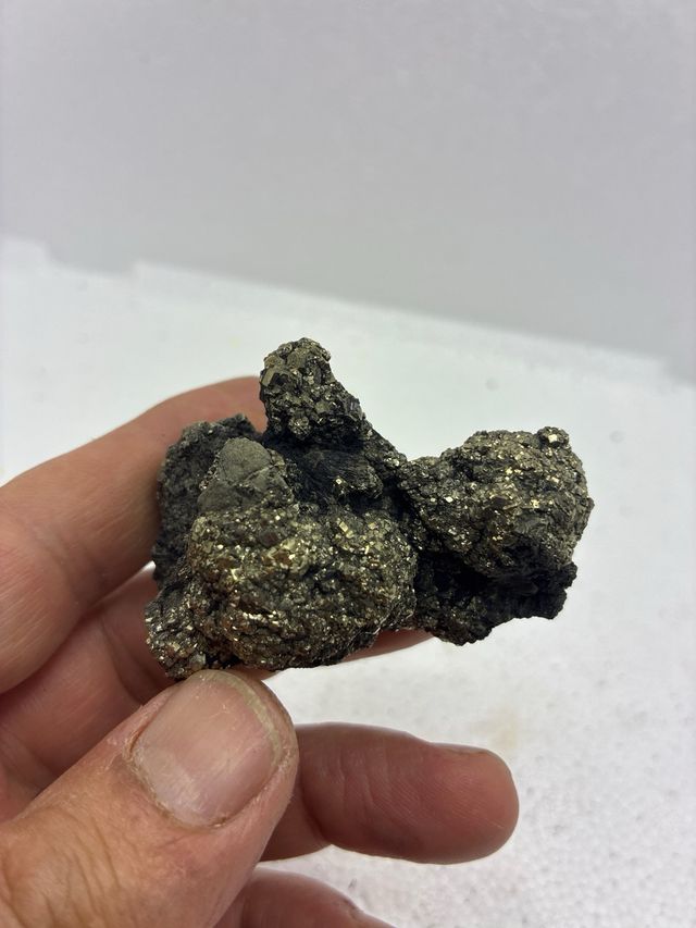 Minerali di Pirita e Xilopalo di Teruel