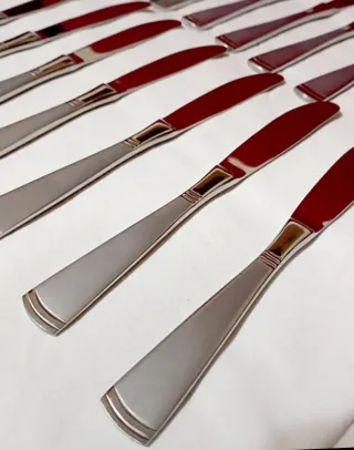 Servizio coltelli per carne e pesce