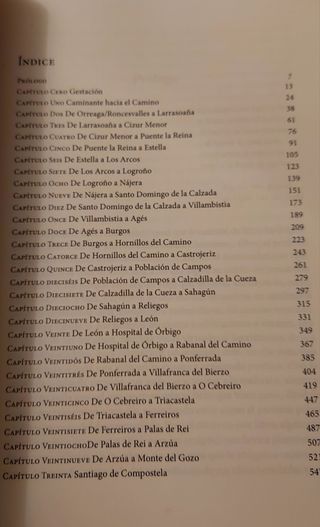 Memorias de mis pies. Crónica del Camino de Stgo