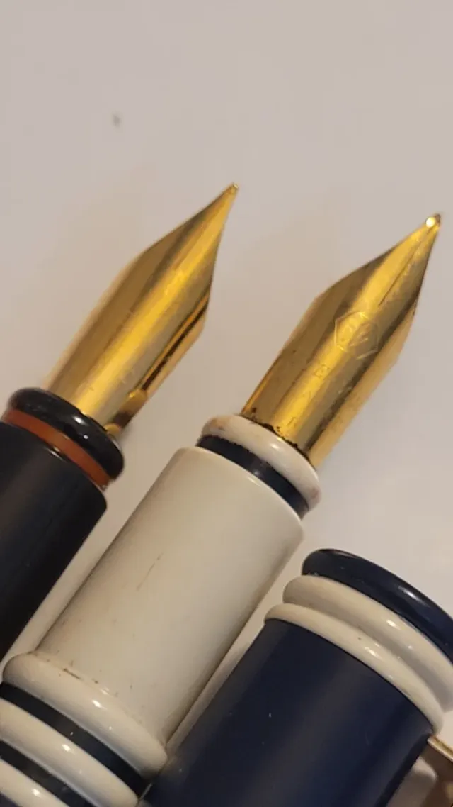 Plumas Waterman France