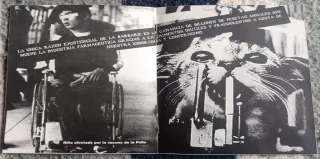 Los Muertos de Cristo - Cualquier Noche...