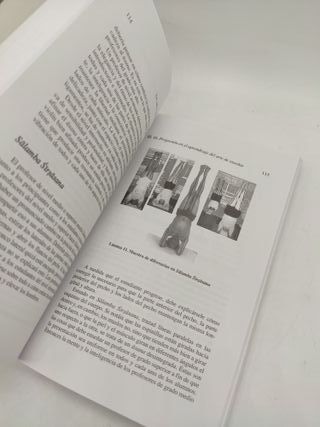 La esencia del yoga III,  B.k.s. Iyengar  libro