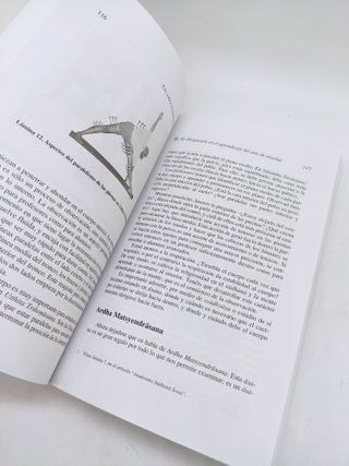 La esencia del yoga III,  B.k.s. Iyengar  libro