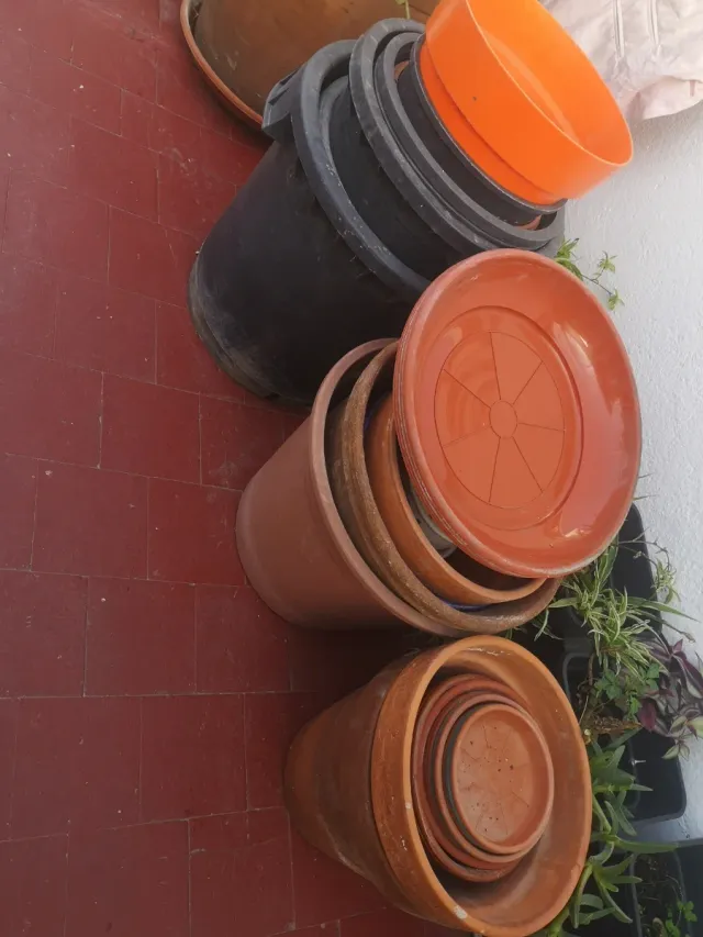 Lote de macetas variadas