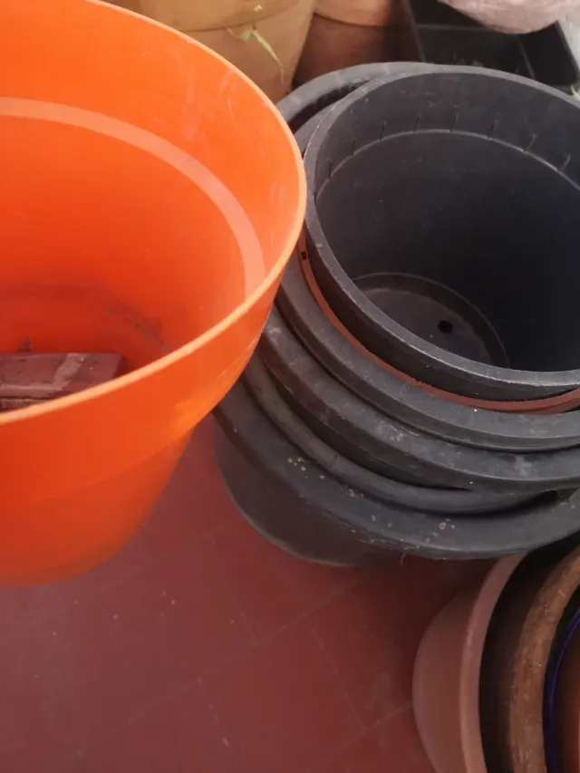 Lote de macetas variadas