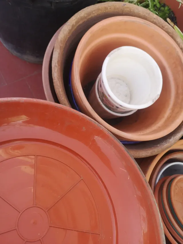 Lote de macetas variadas