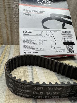 GATES Correa Distribución 5569XS