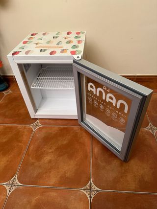 Mini Nevera Docriluc La Nana