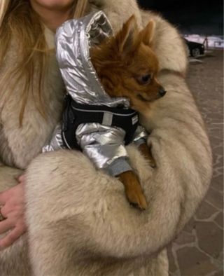 Tuta da montagna per cani piccola taglia