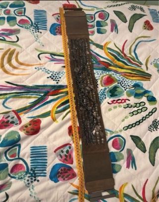 Cintura elasticizzata marrone e argento