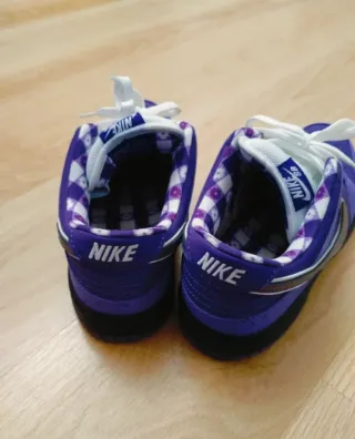 Nike SB Moradas y Blancas