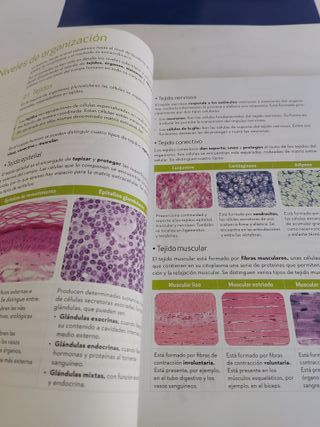 Biología y Geología 3ºESO - 9788448627645 - Como