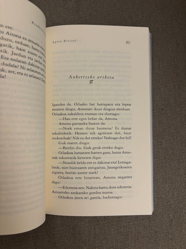 Koaderno handia (Narrazioa) (Basque Edition)