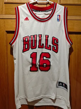 Camiseta NBA de Pau Gasol en los Chicago Bulls #16