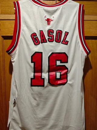 Camiseta NBA de Pau Gasol en los Chicago Bulls #16