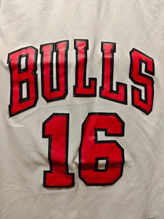Camiseta NBA de Pau Gasol en los Chicago Bulls #16